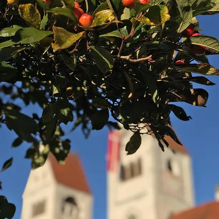 Privat An Der Klosterpforte Штайнгаден